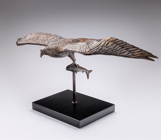 Osprey Catch